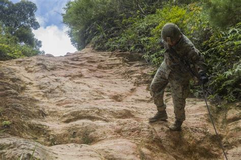 DVIDS - Images - ‘Retreat, Hell!’ Marines complete Okinawa jungle warfare training [Image 8 of 54]