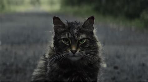 Pet Sematary (2019)