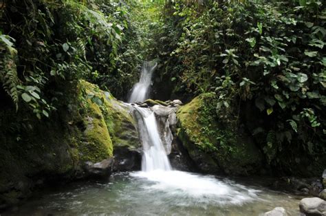 Mindo Cloud Forest – Ecuador Eco Adventures