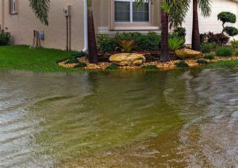 How To Deal With Standing Water In Your Yard - California Foundation Works