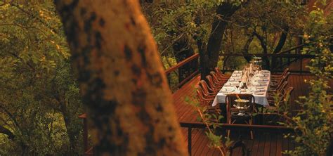 Royal Malewane - Kruger Safari Lodges | Safari Guide Africa