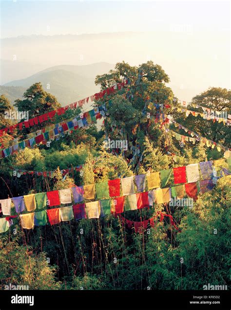 INDIA, West Bengal, colorful prayer flags hanging over trees, Tiger Hill Stock Photo - Alamy