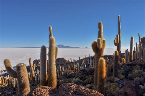 Uyuni Salt Flats Sunrise - Free photo on Pixabay - Pixabay