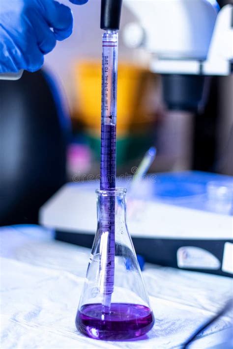 A Purple Liquid Being Put into a Conical Flask To Test Chemicals for Reactions in a Lab Stock ...