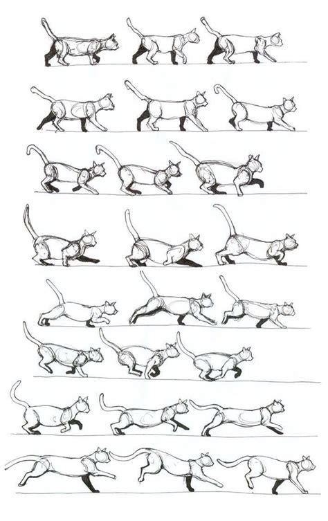 Animation Reference, Drawing Reference, Animal Sketches, Animal ...