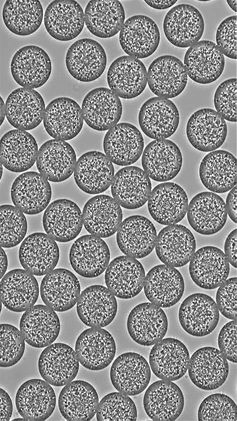 Microfluidics; Fluigent; Droplet microfluidics; emulsion generation ...