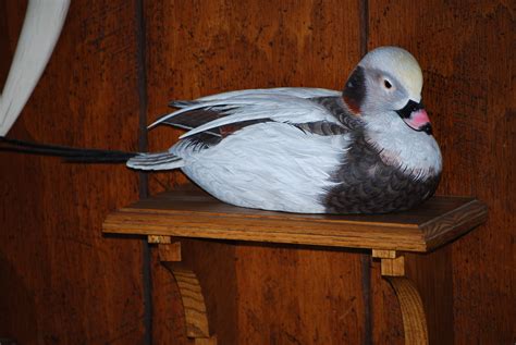 My best duck carved in 2006 by Milford Hopkins a Drake Old Squaw | Decoy carving, Interesting ...