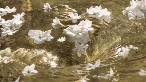 - Chanel Gabrielle Essence TV Commercial, 'The New Eau De Parfum' Featuring Margot Robbie, Song ...