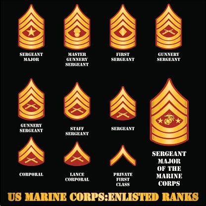 Us Marine Corps Enlisted Ranks Stock Illustration - Download Image Now ...