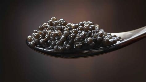 Caviar from Iran | The History of Iranian Caviar | Updated for 2022