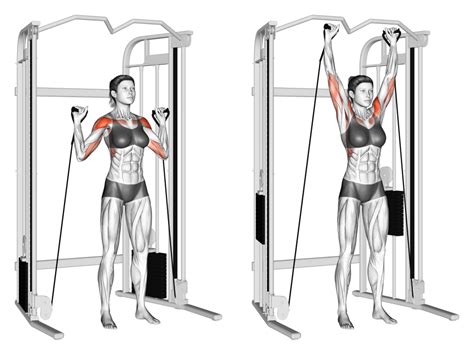 6 Best Cable Machine Shoulder Exercises (with Pictures!) - Inspire US