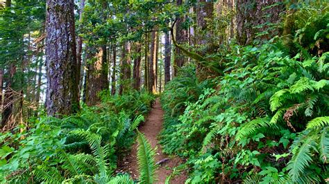 Hiking Humbug Mountain Trail on the Oregon Coast - Another 100 Feet