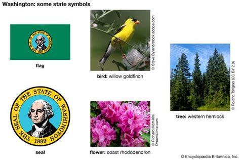 Washington state symbols - Kids | Britannica Kids | Homework Help