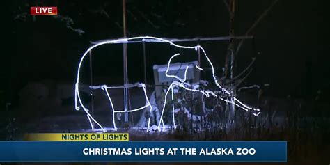 Nights of Lights: Zoo Lights at The Alaska Zoo