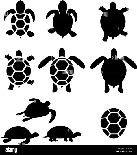 Set of turtle and tortoise silhouette, vector Stock Vector Image & Art ...