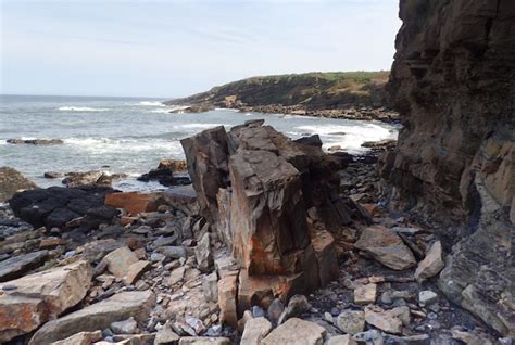 How we discovered a rare giant millipede fossil on a beach – and why it ...