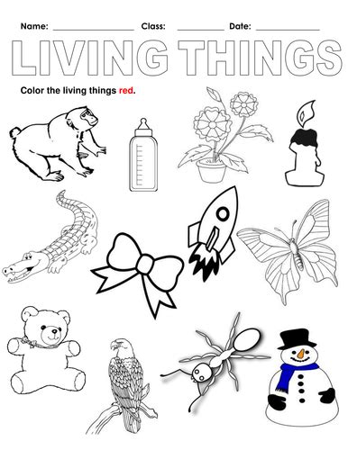 Non Living Things Drawing For Kids