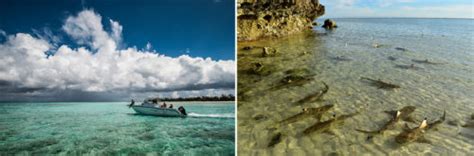 Aldabra Atoll - Africa Geographic