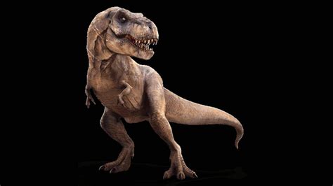 Rexy | Wiki | The Jurassic World Amino