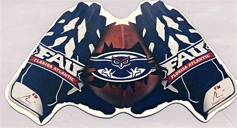 Amazon.com: FAU Owl Die-Cut Reversible Car Magnet : Everything Else