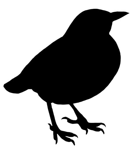 Bird Silhouette Drawing Clip art - silhouettes png download - 1156*1256 - Free Transparent Bird ...