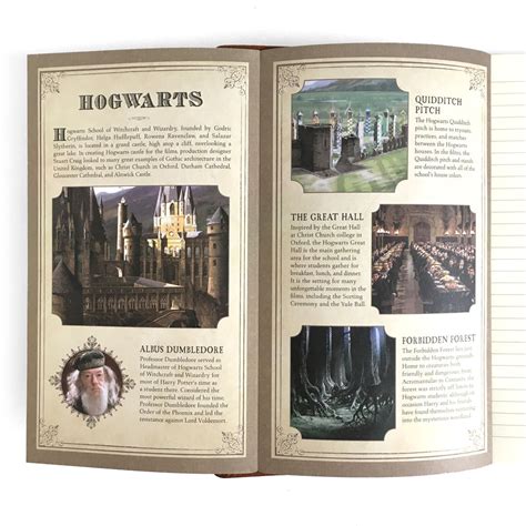 Harry Potter - Journals & Notebooks – Curiosa - Purveyors of ...