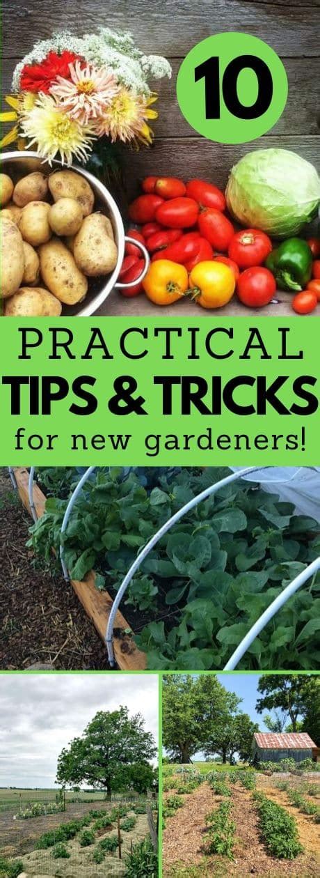 10 Practical Gardening Tips and Tricks to Help Your Garden Thrive - Simplify, Live, Love