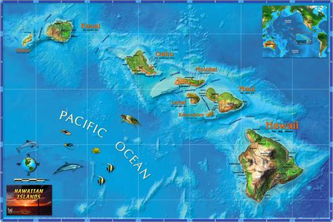 Picture Of Hawaii On A Map - 2024 Schedule 1