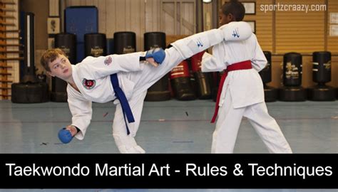 Taekwondo Martial Art - Rules & Techniques | Sportz Craazy