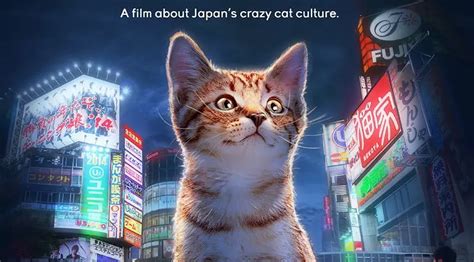 CAT NATION: New Documentary Explores Japanese Cat Culture - Life With Cats