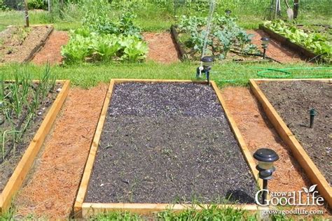 5 Ways Organic Mulch Helps Your Vegetable Garden | Vegetable garden ...