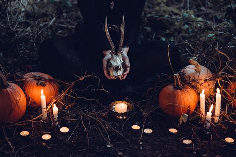 Free photo: Brown Pumpkin Halloween Decor and Gray Skull at Grass Field - Candle, Horror, Scary ...