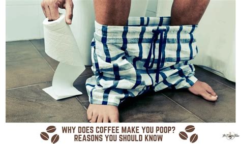 Why Does Coffee Make you Poop? Reasons you Should Know