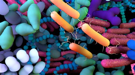 Microbiome therapeutics: what are the current advances? - Alcimed