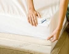 Tempur-Pedic Mattress Protector - mattress.news