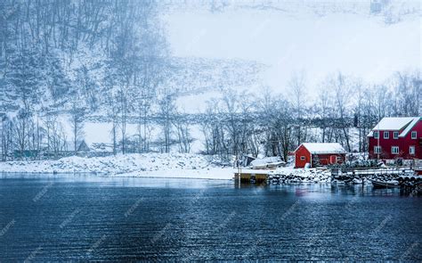 Premium Photo | Norwegian fjords in winter