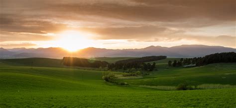 Free photo: Green Grass Field during Sunset - Clouds, Field, Grass ...