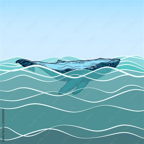 Vector image of a large humpback blue whale. Humpback on the water ...