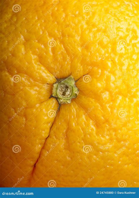 Center of the Orange stock photo. Image of orange, close - 24745880