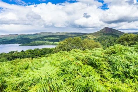 Hiking Near Glasgow: 5 of the Most Adventurous Treks