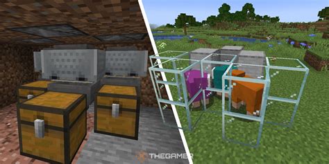 Minecraft How To Make Wool - Margaret Wiegel™. Jul 2023