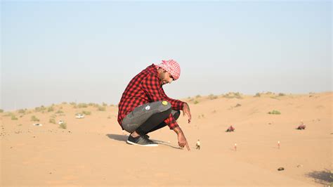 Man in Flannel Shirt Sitting on Sand · Free Stock Photo