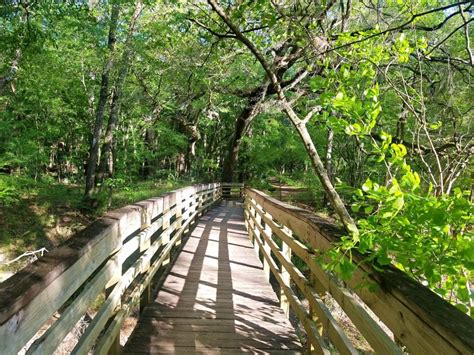 Suwannee River State Park: The Practical Guide