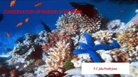 Conservation of marine ecosystem | PPT