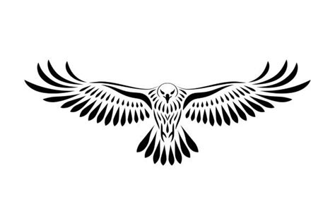 Hawk Illustrations, Royalty-Free Vector Graphics & Clip Art - iStock