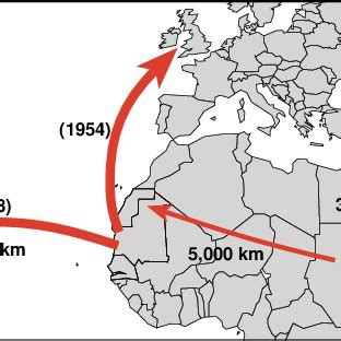 Some examples of long distance Desert Locust migration. | Download ...