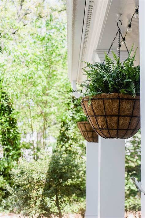 Hanging Planters Pots - G4rden Plant