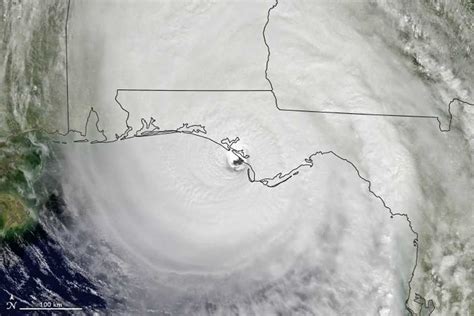 Southeast Farmers Still Hurting From Hurricane Michael After-Effects - Growing Produce