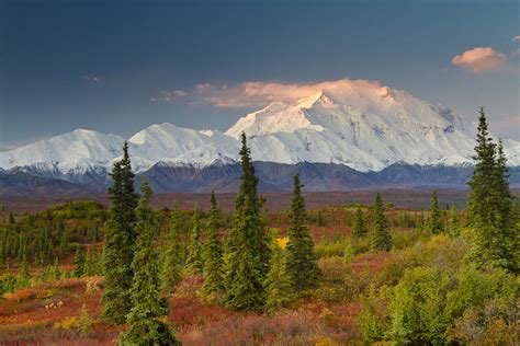 Scenic View Of Mt. Mckinley At Sunrise Photograph by Lynn Wegener