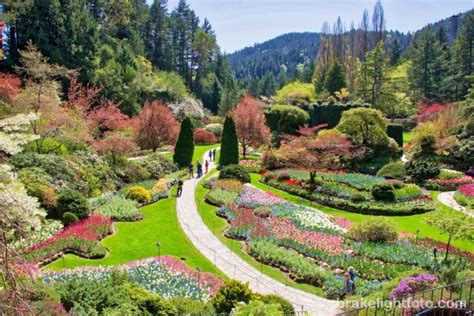 5 Best Gardens in Victoria, BC | Visitor In Victoria